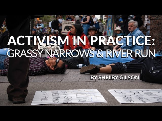 Activism in Practice: Grassy Narrows & River Run | Shelby Gilson