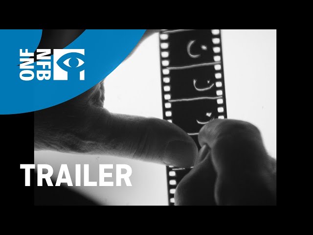 Scratches of Life: The Art of Pierre Hébert (Trailer 01m45s)