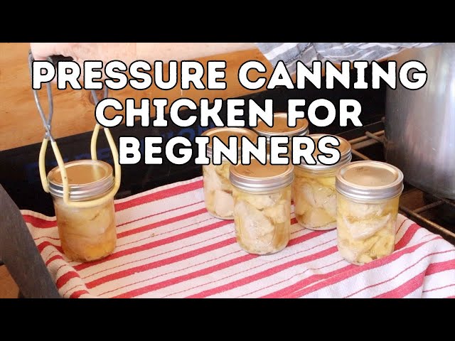 Pressure Canning Chicken for Beginners