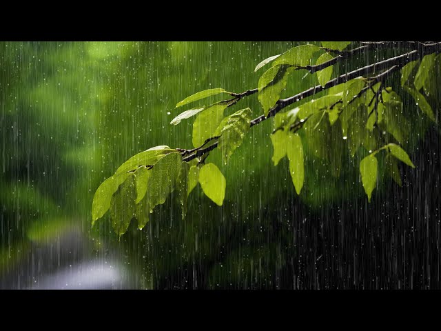 Quiet Ambience: Relaxing Piano Music with Rain Sounds for Deep Sleep & Meditation🎻