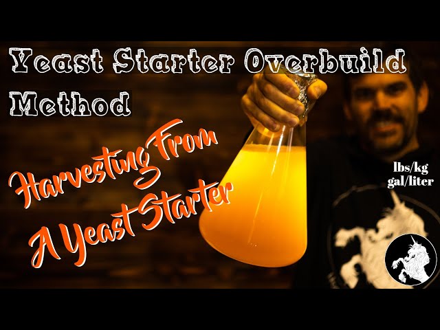 Yeast harvesting from a starter the Brulosophy overbuild method. Save money making a yeast starter.