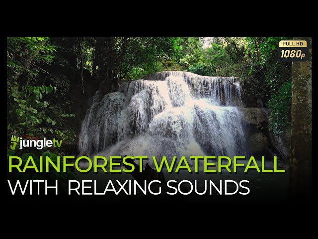 Rainforest waterfall with relaxing sounds