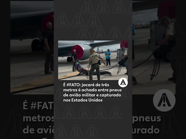 É #FATO: jacaré de três metros é achado entre pneus de avião militar e capturado nos EUA #shorts