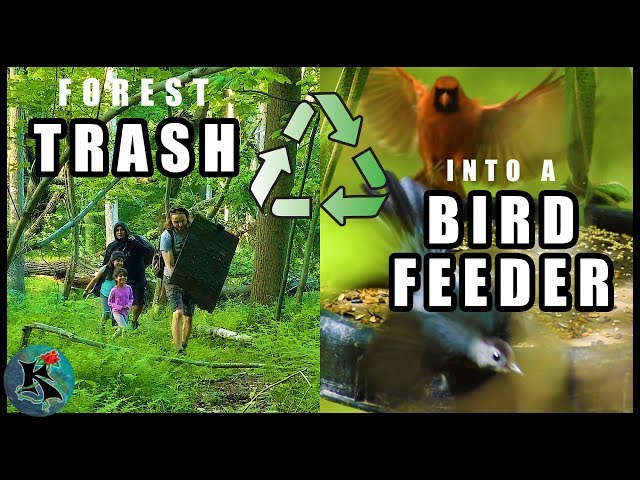 Building a Bird Feeder from Trash in the Forest | Koaw Nature