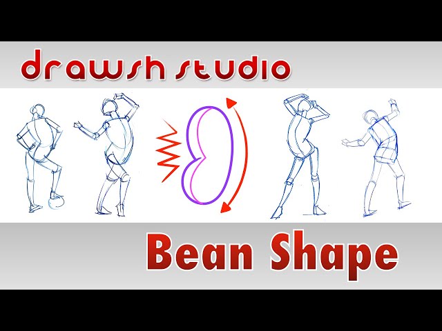 The Bean Shape in Figure Drawing