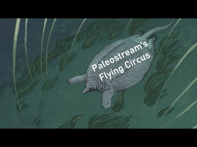 Paleostream's Flying Circus: Levi and the Jojo Fans