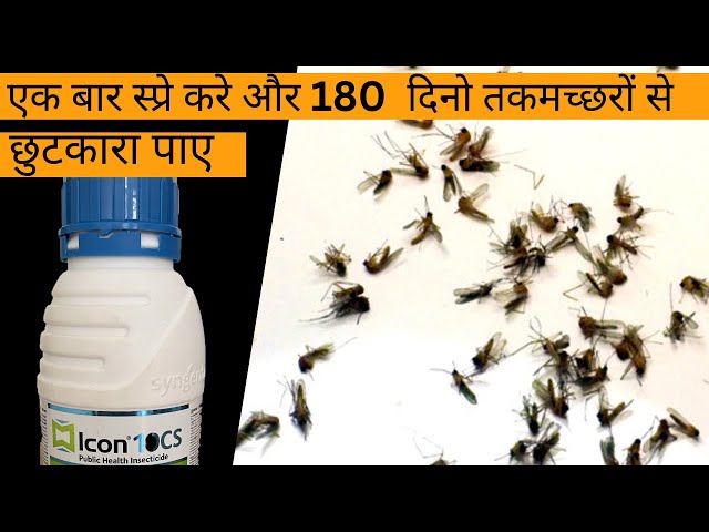 मच्छरों से बचने के उपाये  | Best mosquitos treatment pesticide | How to get rid of mosquitos