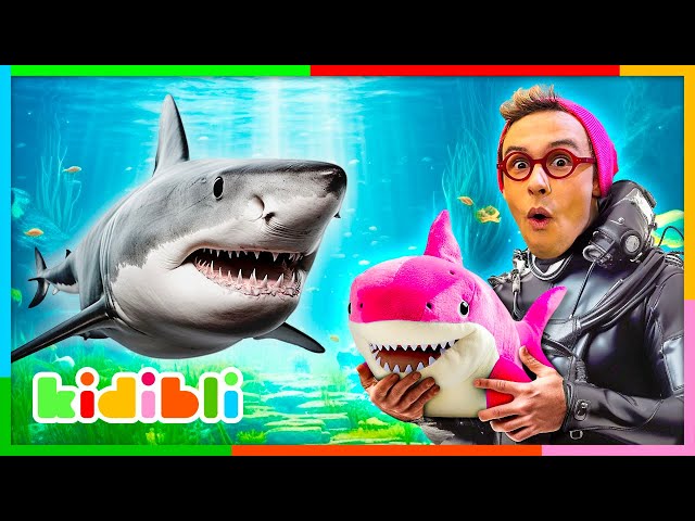 Let's learn about Sharks & Fishes! | Educational Videos for Kids | Kidibli
