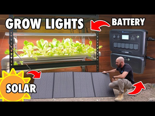 Growing Plants Indoors, with the Sun…