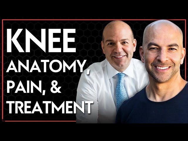Knee anatomy, pain, & treatment | Peter Attia & Adam Cohen