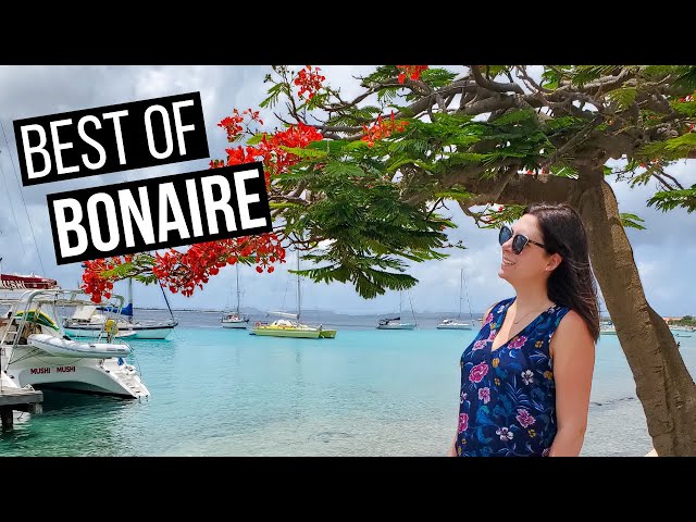 Bonaire Island Tour | Royal Caribbean Bonaire | What to do in Bonaire