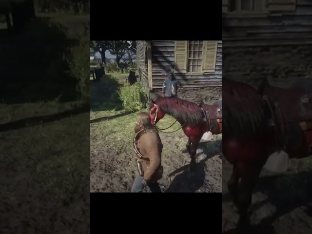 His reaction was soo good - RDR2