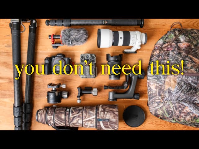 What's NOT in my camera bag for wildlife photography (2024)
