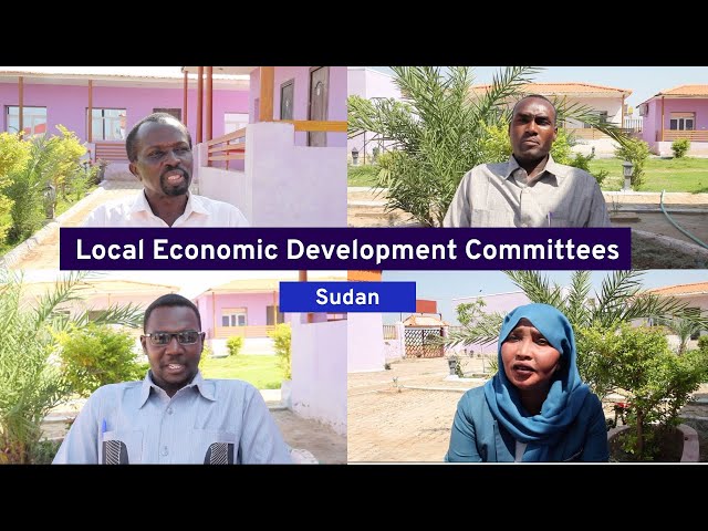 PROSPECTS Sudan: Interviews with members of the Local Economic Development Committees (LEDCs)