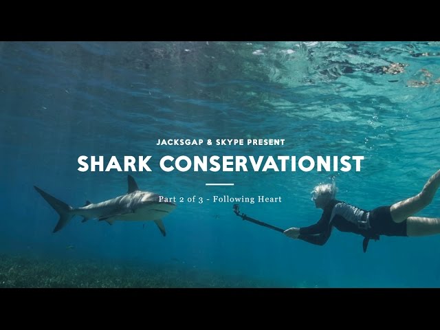 Following Heart - The Shark Conservationist