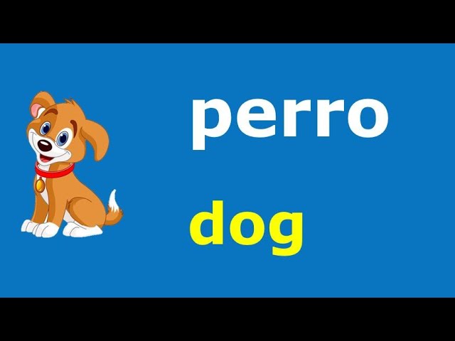 Animals in Spanish and Pictures