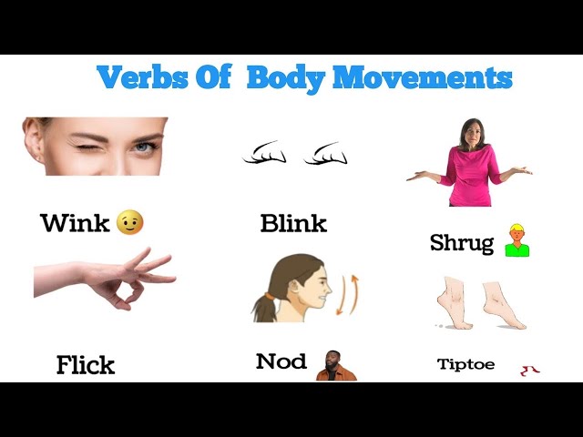 Body movements vocabulary | Verbs of body movements | English Vocabulary for beginners