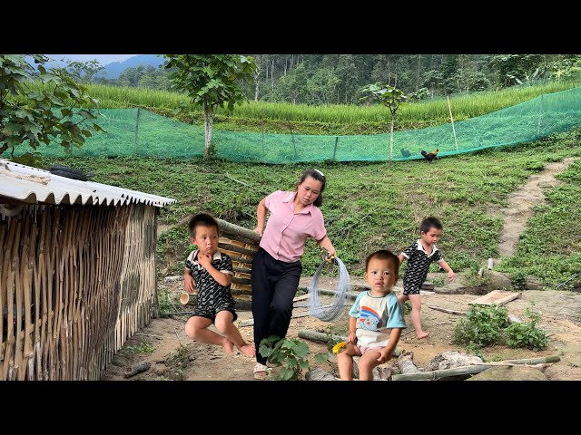 Harvest tubers and weave bamboo to use in the kitchen to cook pig bran | Family Farm Life