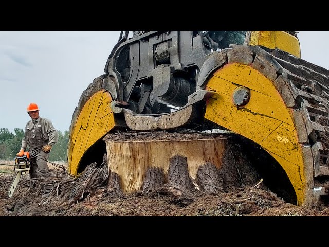Heavy Machinery in Action: The Most Satisfying Compilation Ever!