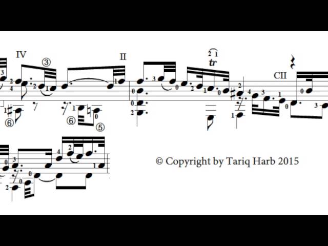 Bach: Allemande, BWV 1002 (excerpt from Tariq Harb's arrangement)