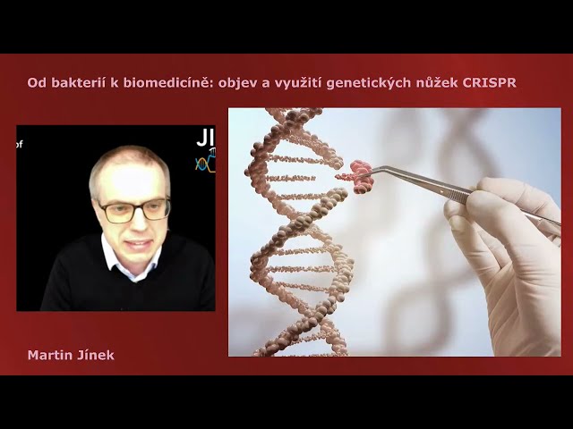 Martin Jínek: Od bakterií k biomedicíně: objev a využití genetických nůžek CRISPR