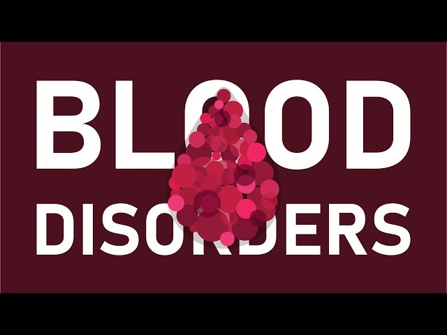 What is Blood? And What are Blood Disorders?