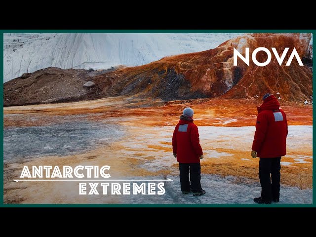 Why is this Antarctic Glacier “Bleeding?” | Antarctic Extremes