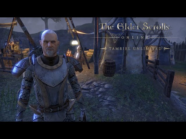 THE GRAVESINGER - The Elder Scrolls Online (Part 13)