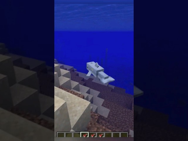 Can You Feed Minecraft Dolphins to Have Them Lead You To Treasure? 🤔 #minecraft