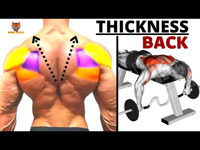 6 BEST BACK EXERCISES TO GET THICKNESS  BACK FAST / MUSCULATION DOS EPAIS RÉSULTAT RAPIDE