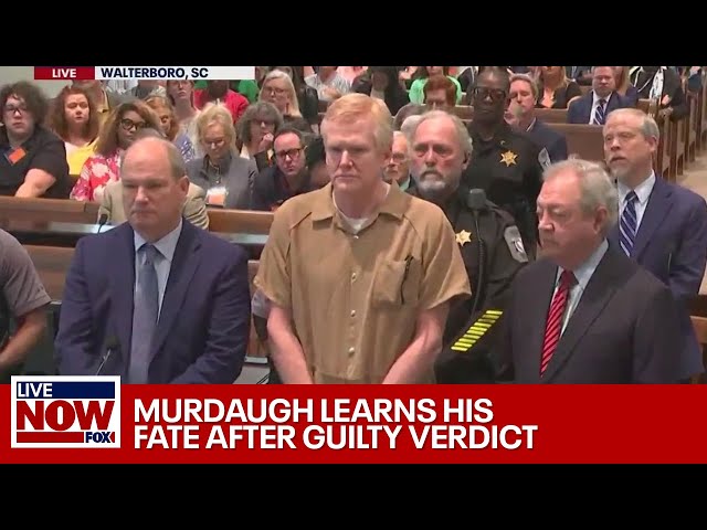 WATCH: Alex Murdaugh sentenced in murder trial  | LiveNOW from FOX