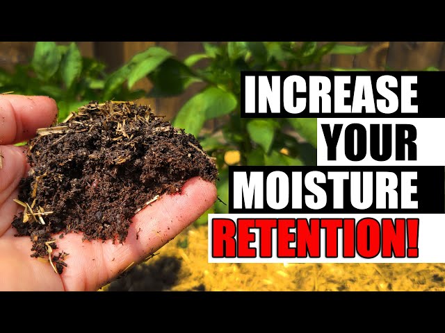 Increase Your Soil's Water Retention Garden Quickie Episode 89