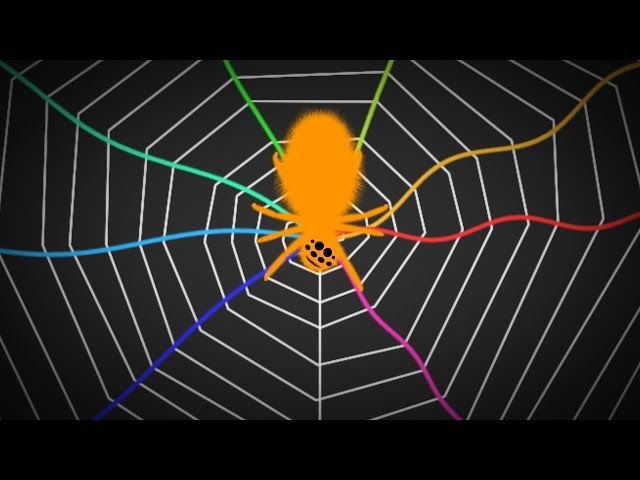 Spiders Tune Their Webs Like A Guitar | SKUNK BEAR