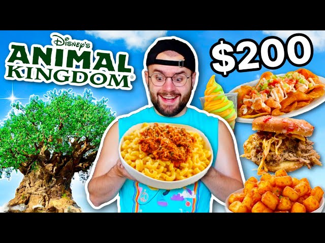 $200 Food Day At ANIMAL KINGDOM In Disney World!