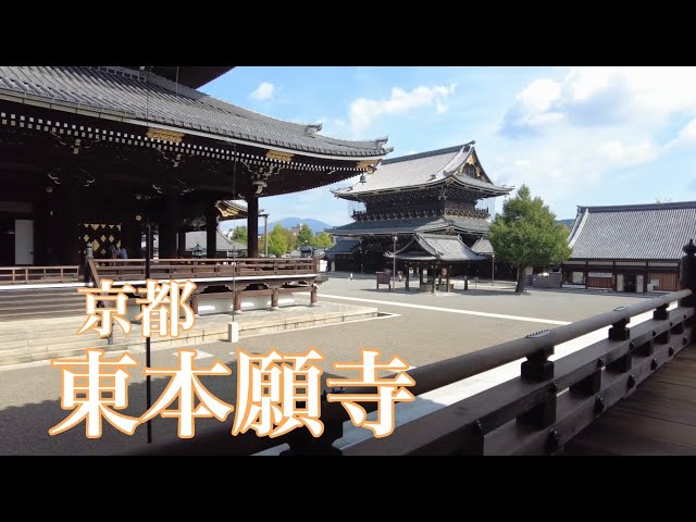 秋の京都を巡る 京都駅から東本願寺を歩く Touring Kyoto