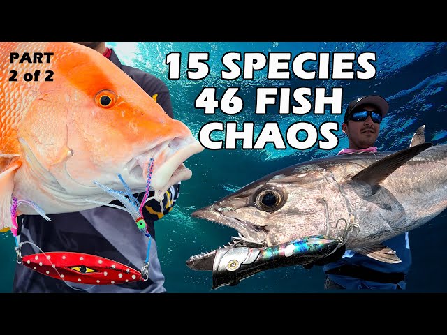 DOES FISHING GET ANY BETTER? | 15 Different Species | 46 fish caught in this episode | Swains Reef