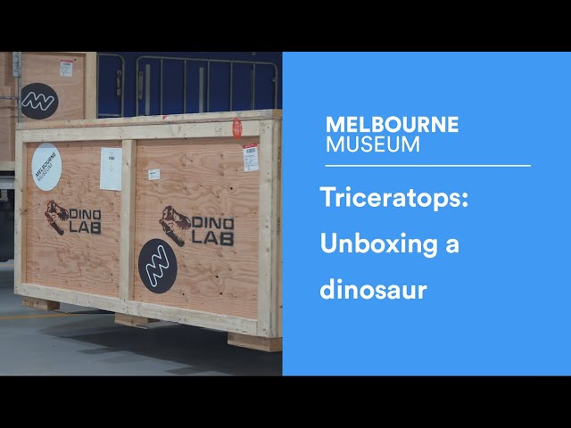 Triceratops: From the Cretaceous to Carlton