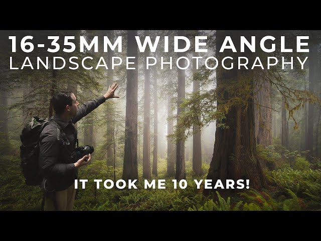 I Almost Gave Up Hope! Landscape Photography in the REDWOODS