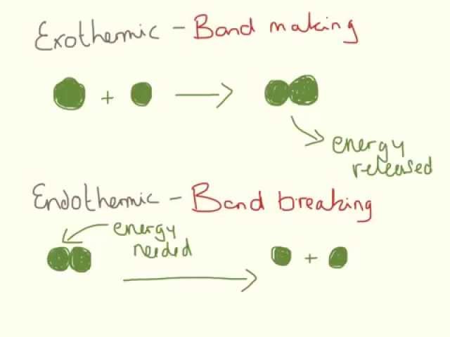 Endothermic and Exothermic Reactions.