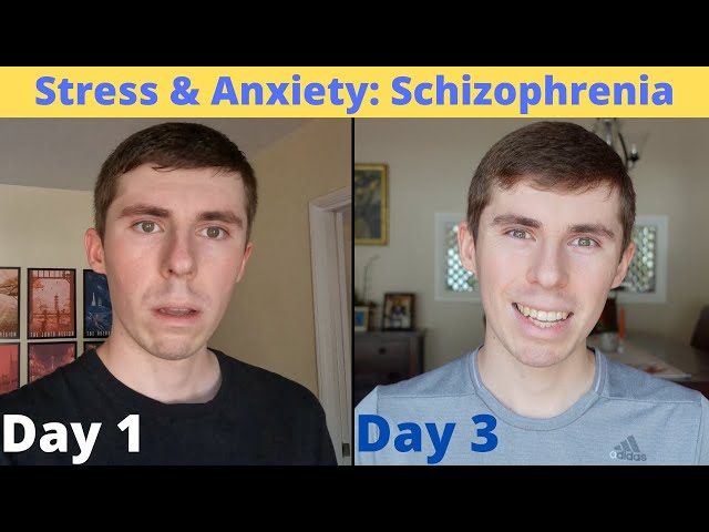Schizophrenia Stress and Anxiety - My Feelings