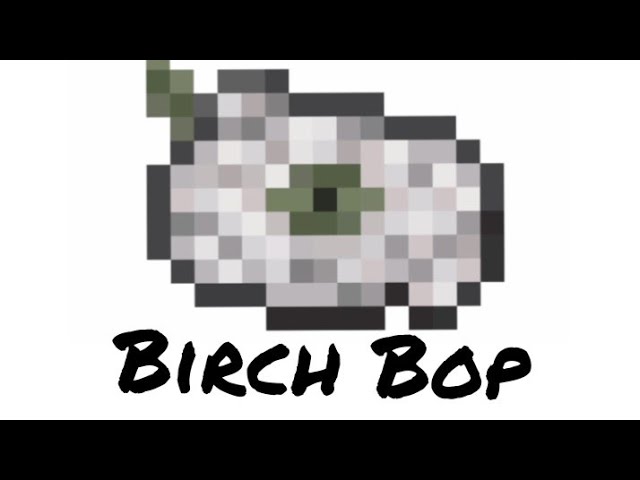My fanmade minecraft music disc- Birch Bop