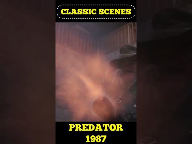 "Stick Around" Predator 1987 #Fun #Wow #Action #Film #Classics