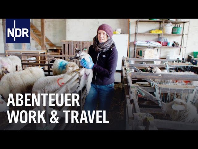 Abenteuer Work & Travel | die nordstory | NDR Doku