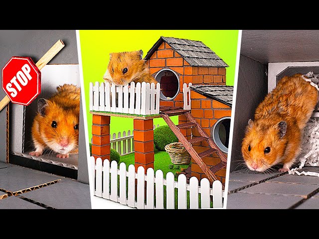 Cool DIY Hamster Crafts || Don't Let Your Pet Get Bored!