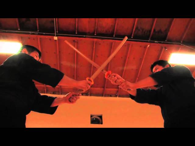 Kendo Principles Series New Opening