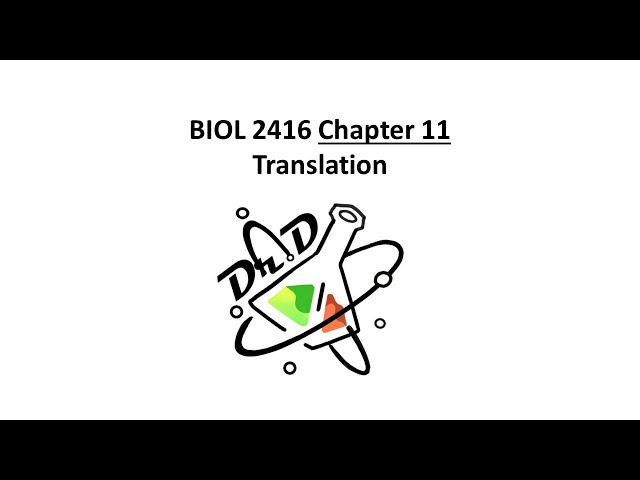 BIOL2416 Chapter 11 - Translation