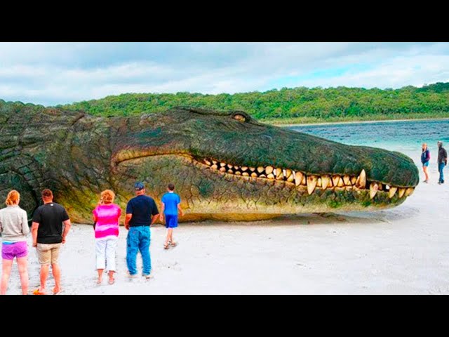 15 Unbelievable Giant Animals Caught on Camera