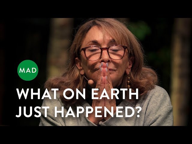 What On Earth Just Happened | Lynda Obst