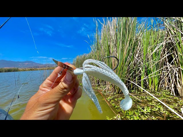 El Señuelo MÁS EFECTIVO Para Pescar en Lagunas!