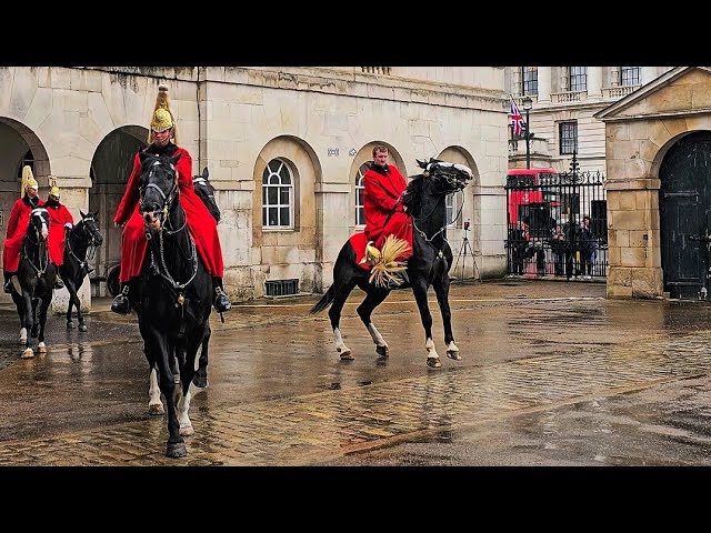 GUARDS HELMET FALLS TO THE GROUND as HORSE HATES THE RAIN and tries to THROW rider at Horse Guards!